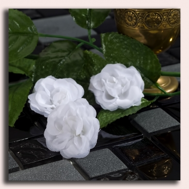 Róża główka 12 szt 4cm White